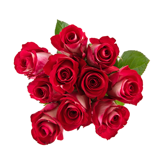 Bluez roses