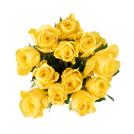 Yellow roses