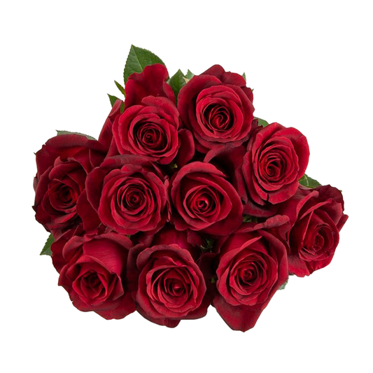 Red roses