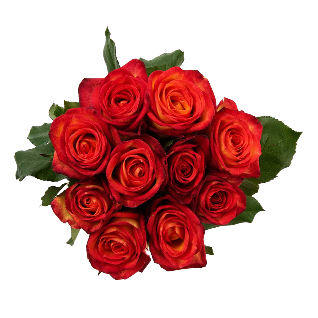 Two-tone roses