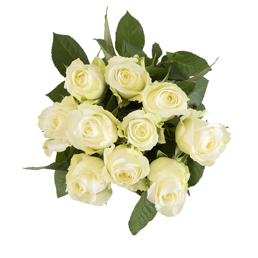 White roses